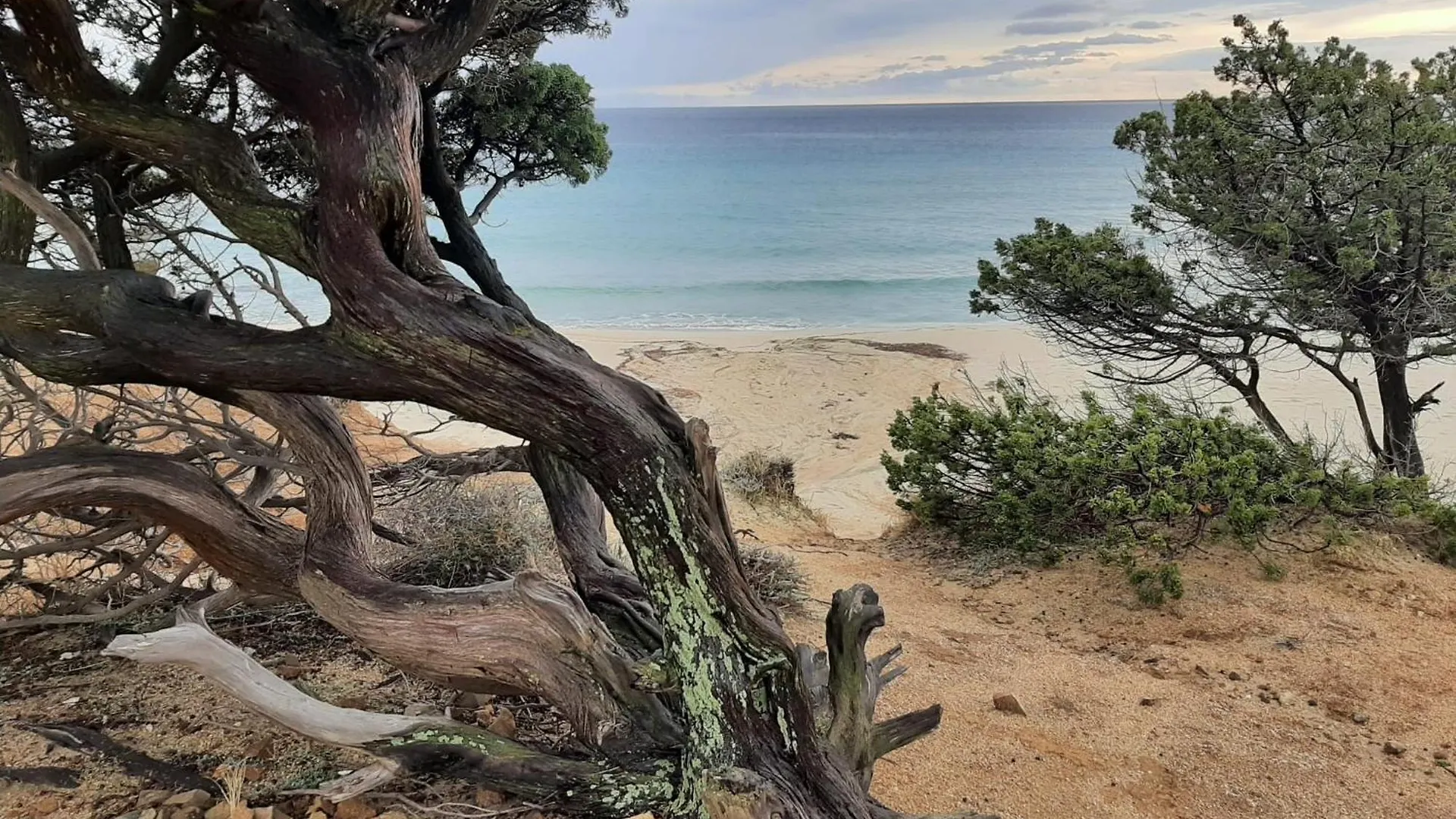 Resonance Experience - Tranquil Room Close To Beaches And Sacred Sites Sant Isidoro  Ιταλία