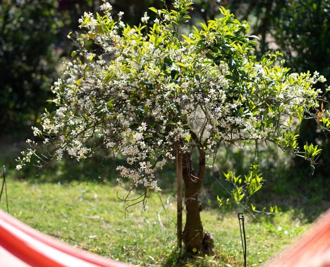 Resonance Experience - Tranquil Room Close To Beaches And Sacred Sites Sant Isidoro  Sant Isidoro (Sardinia)